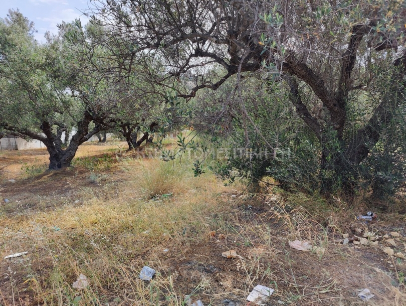 φωτογραφία ακινήτου