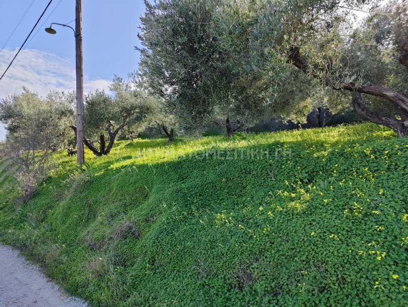 φωτογραφία ακινήτου