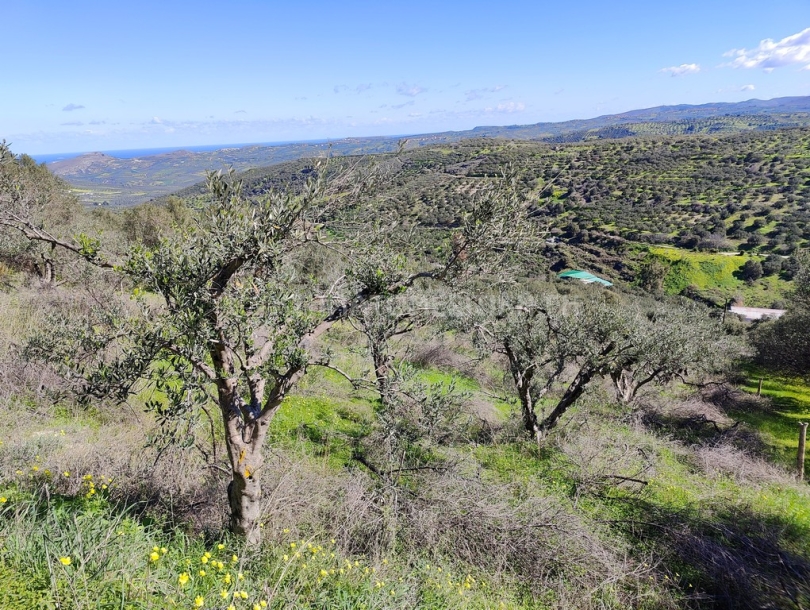 φωτογραφία ακινήτου