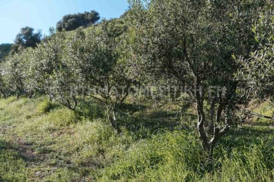 φωτογραφία ακινήτου