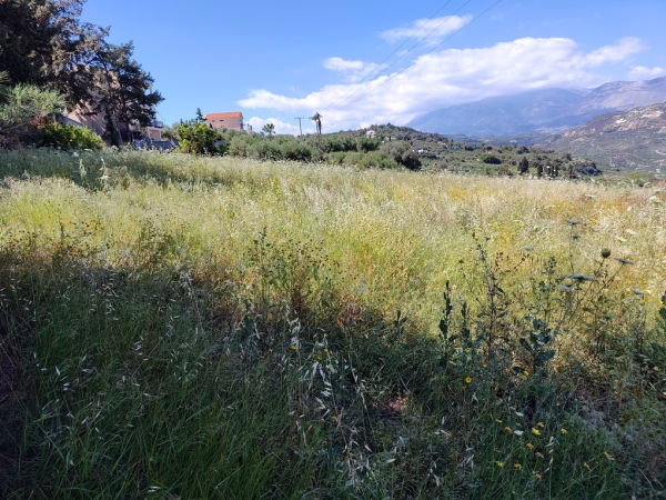 εικόνα ακινήτου