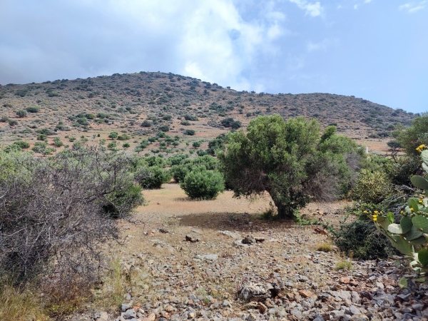 εικόνα ακινήτου