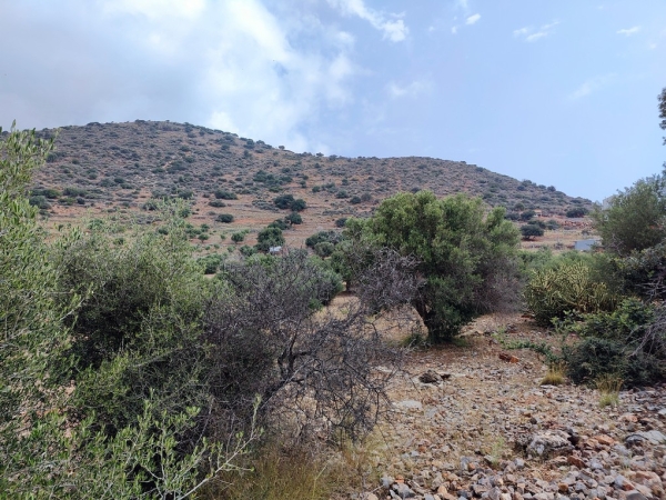 εικόνα ακινήτου
