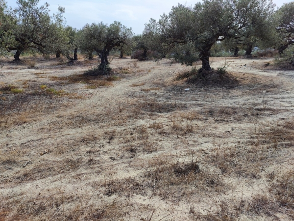 εικόνα ακινήτου