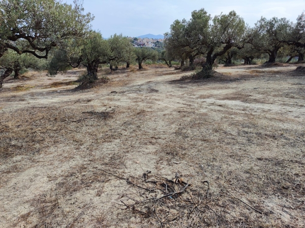 εικόνα ακινήτου