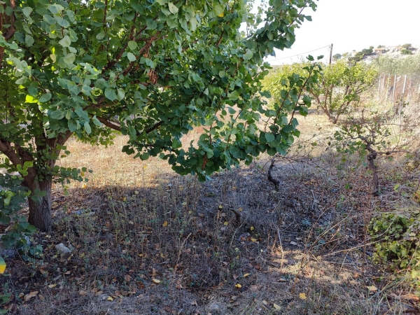 εικόνα ακινήτου
