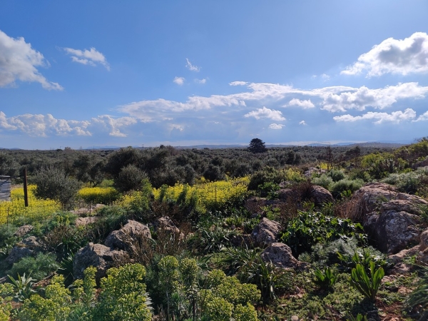 εικόνα ακινήτου