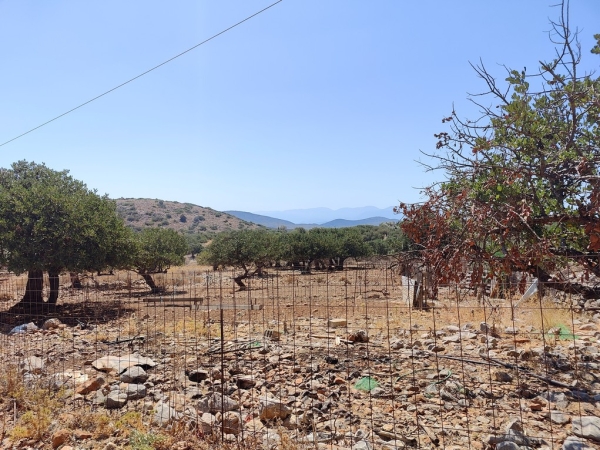 εικόνα ακινήτου