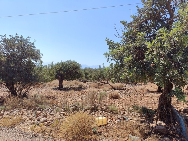 εικόνα ακινήτου