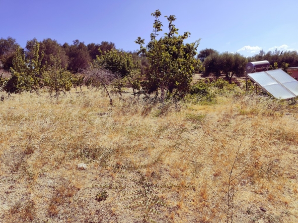 εικόνα ακινήτου