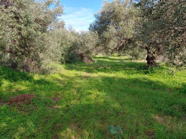 εικόνα ακινήτου