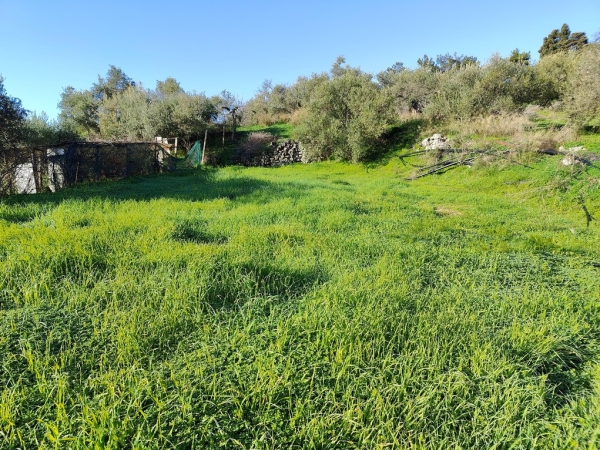 εικόνα ακινήτου