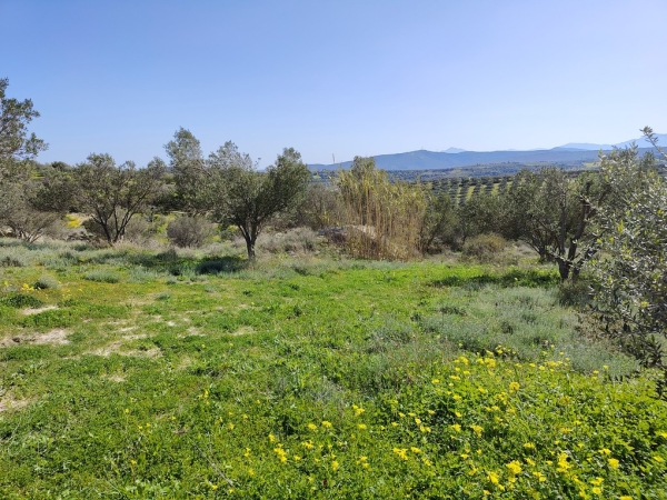 εικόνα ακινήτου