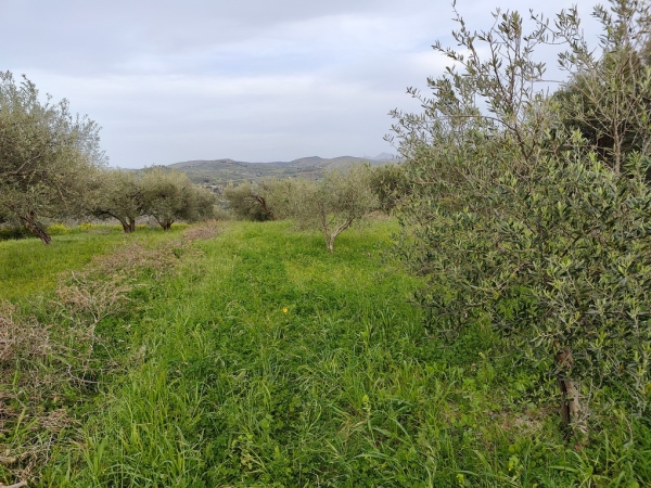 εικόνα ακινήτου