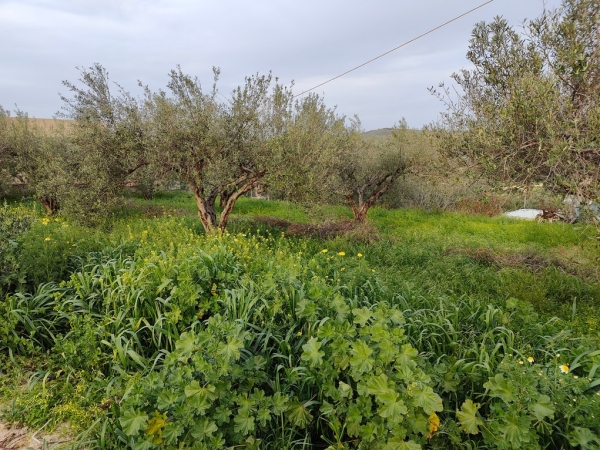 εικόνα ακινήτου