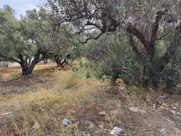 εικόνα ακινήτου
