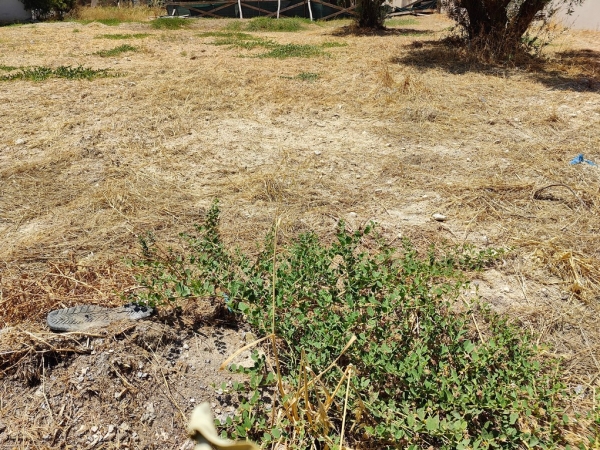 εικόνα ακινήτου