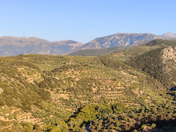 εικόνα ακινήτου