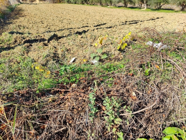 εικόνα ακινήτου