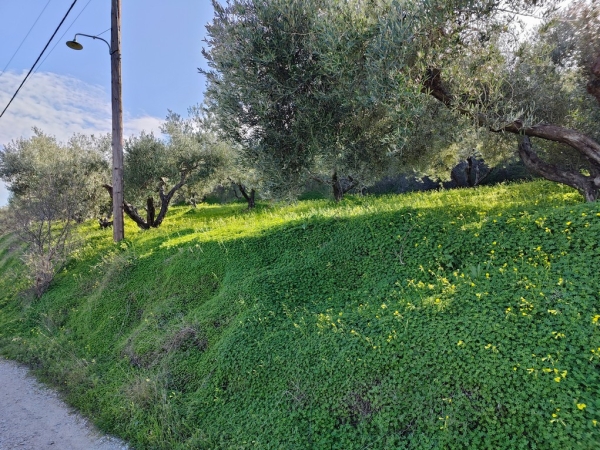 εικόνα ακινήτου