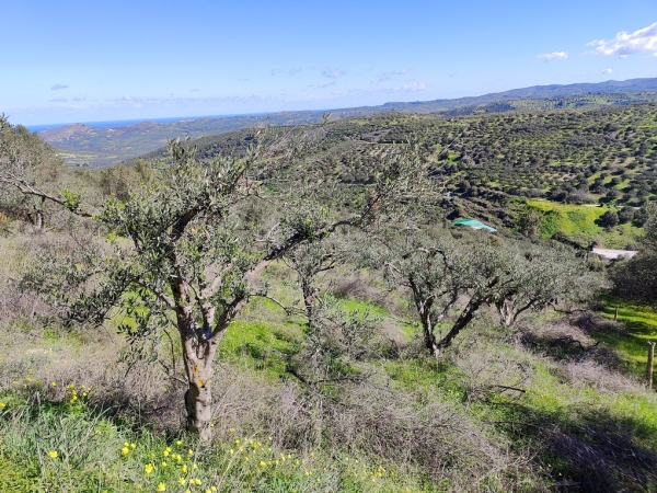 εικόνα ακινήτου