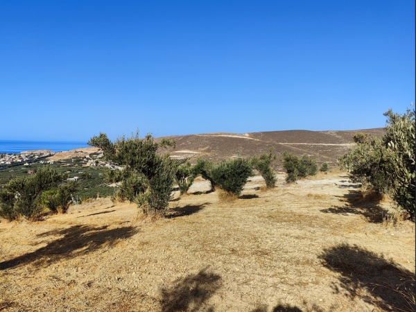 εικόνα ακινήτου