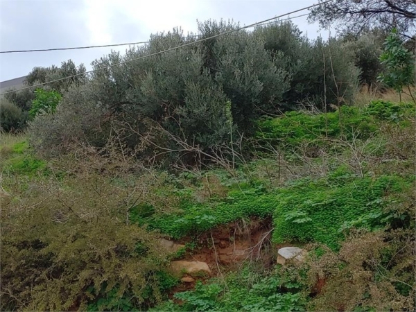 εικόνα ακινήτου