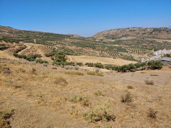 εικόνα ακινήτου