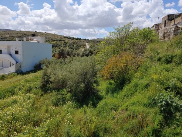 εικόνα ακινήτου