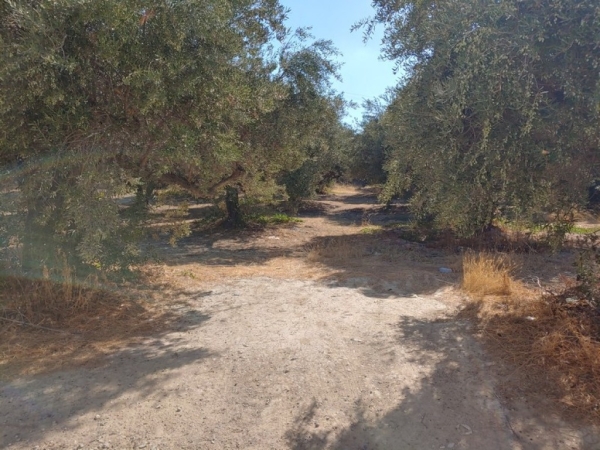 εικόνα ακινήτου